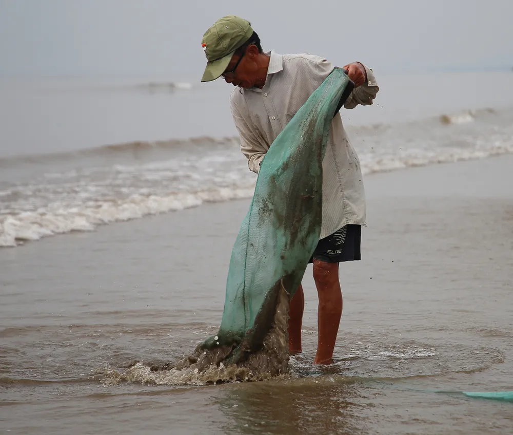 Đãi cát tìm... dắt Đãi cát tìm... dắt