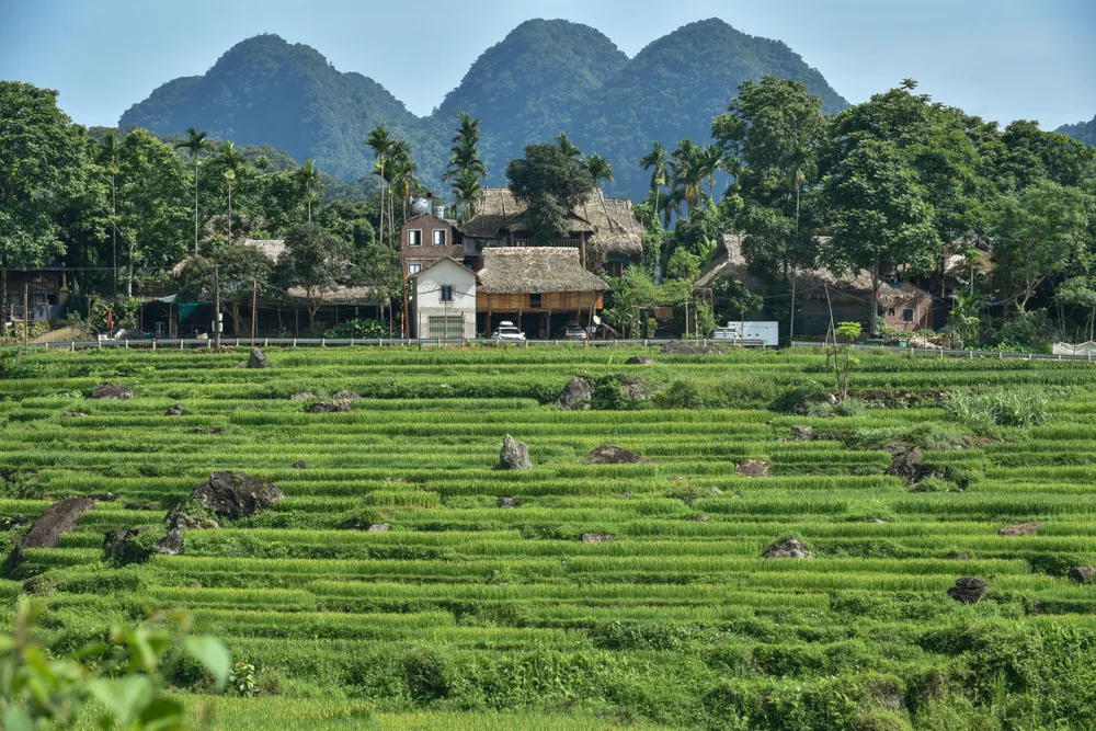 Những nếp nhà đơn sơ, yên bình trên Pù Luông Những nếp nhà đơn sơ, yên bình trên Pù Luông