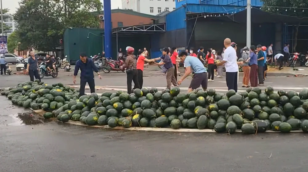 Người dân chung tay "giải cứu" dưa hấu. Ảnh: H.D 2.jpg