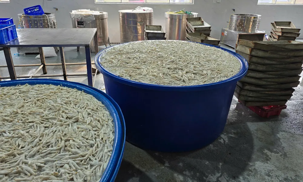 Chân gà ngâm hóa chất tại kho đông lạnh Thanh Bình chan ga.jpg