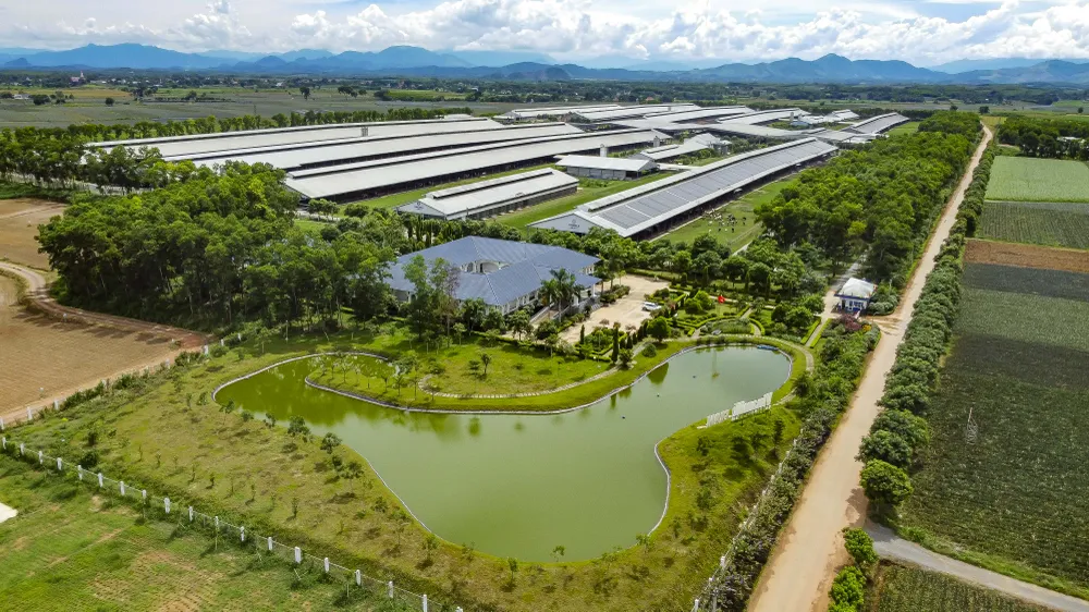 Nhiều trang trại quy mô lớn, xanh, sạch đã và đang phát triển tại Thanh Hóa 4.jpg