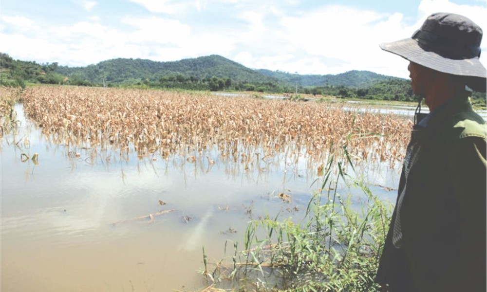 示意圖。（圖片來源：互聯網）