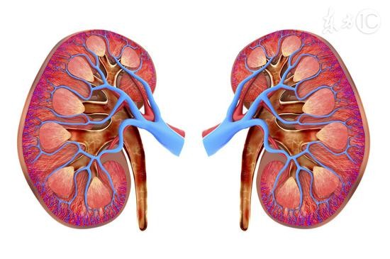 示意圖。（圖片來源：互聯網）