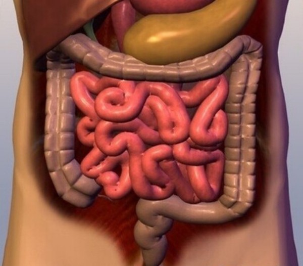 示意圖。（圖片來源：互聯網）