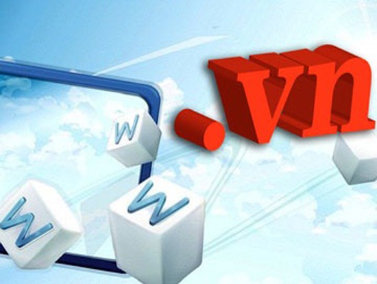 “.vn”域名（圖片來源：互聯網）