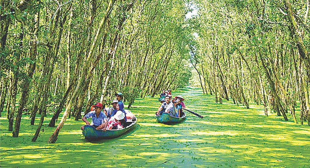 示意圖。（圖片來源：互聯網）