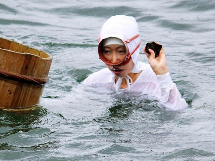 （图源：互联网）