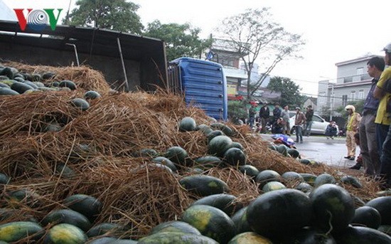 （圖源：互聯網）