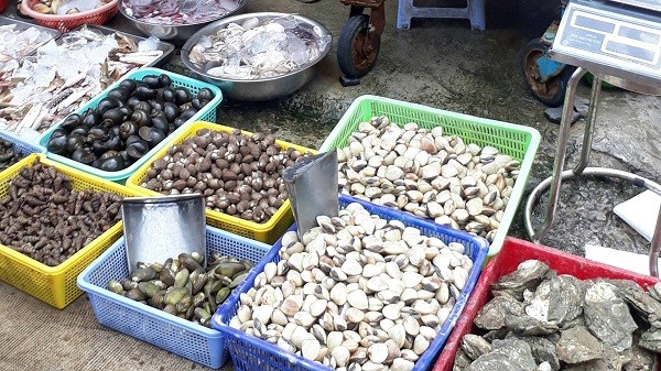 （圖源：互聯網）