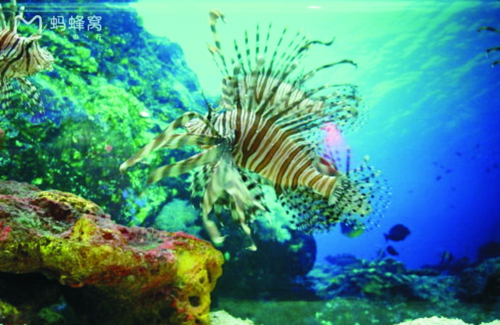 “城在海上，海在城中”話廈門（下） ảnh 2