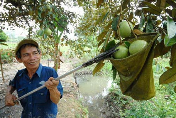 （圖源：互聯網）