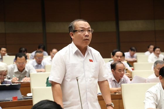 嘉萊省國會代表丁維越就土地管理工作 發表意見。
