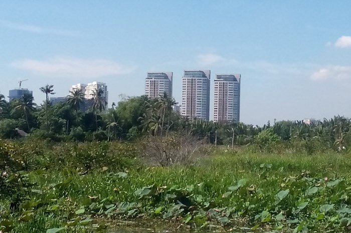 （圖源：互聯網。）