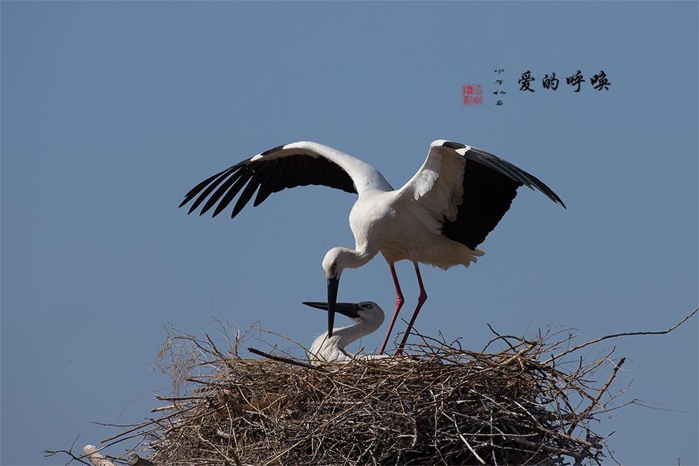 (示意圖源:互聯網)