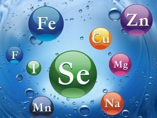 （圖源：互聯網）