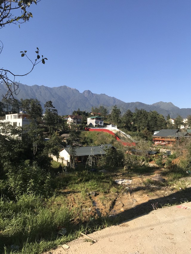 （圖源：互聯網）