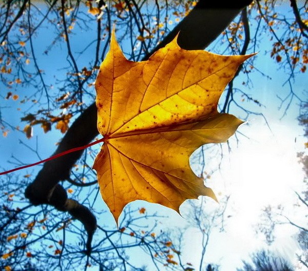 （圖源：互聯網。）