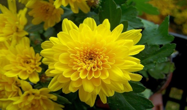 （圖源：互聯網。）