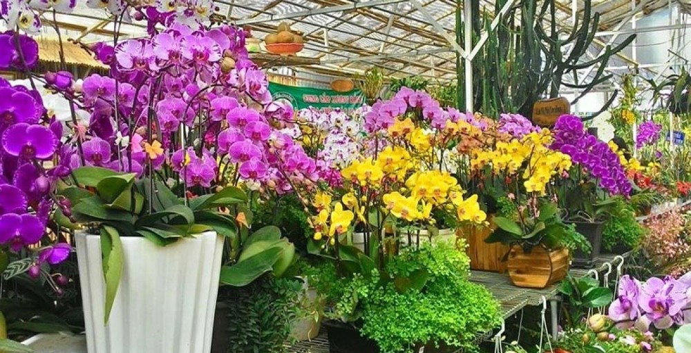 （示意圖源：互聯網）