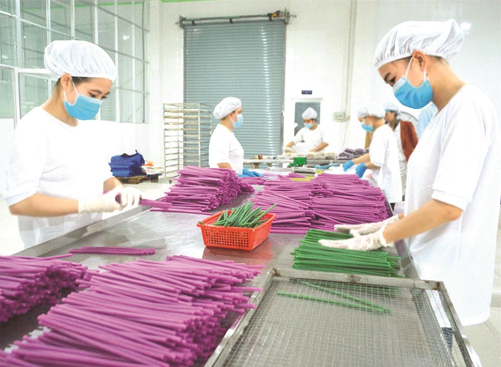 使用麵粉製造吸管限制排放塑料廢棄物。