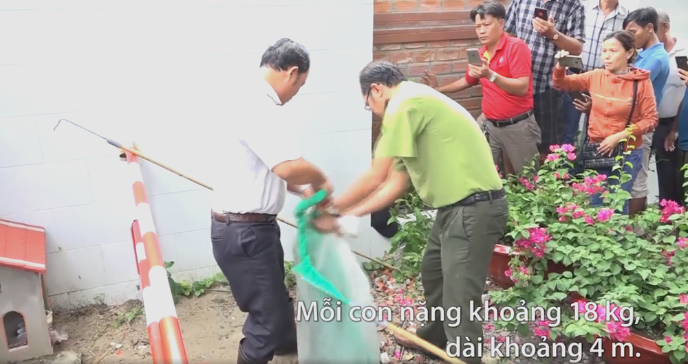 （圖源：互聯網）