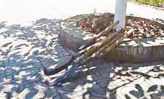 （圖源：互聯網）