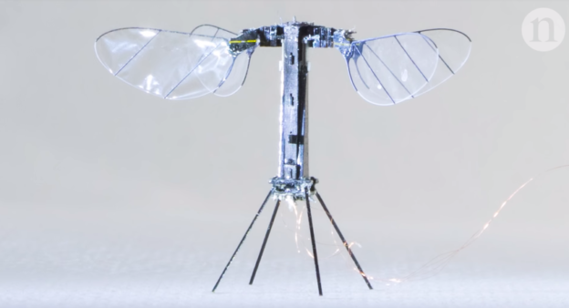 （圖源：互聯網） 