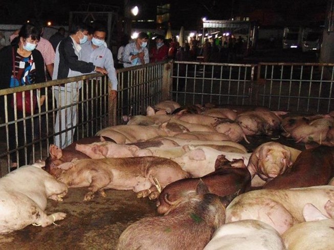 （示意圖源：互聯網） 