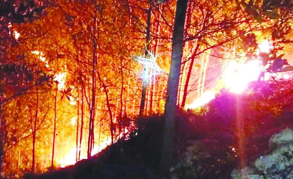 廣南省軍民通宵撲滅林火