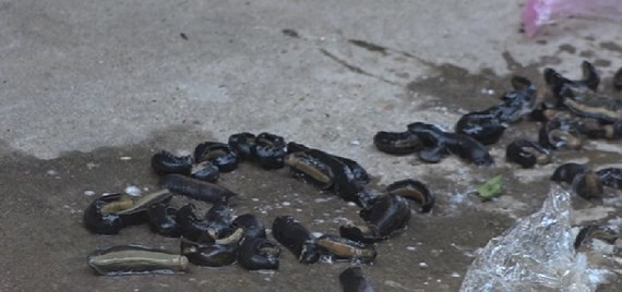 （圖源：互聯網） 