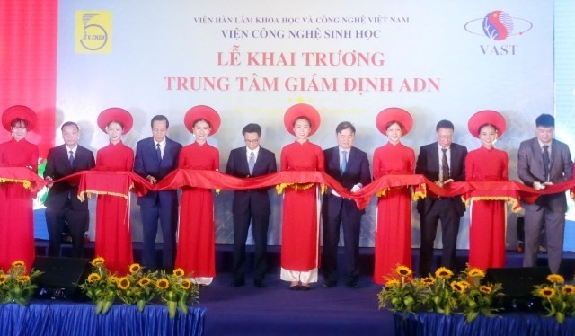 （圖源：互聯網） 