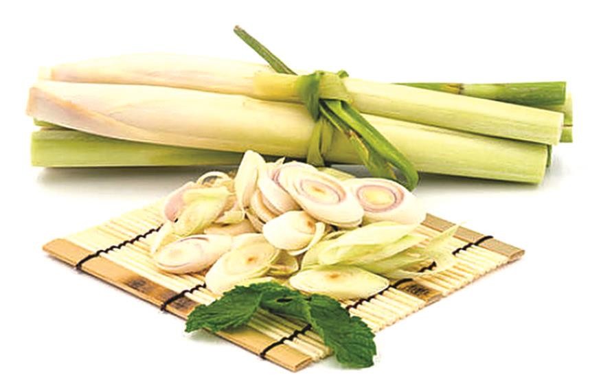 （示意圖源：互聯網）