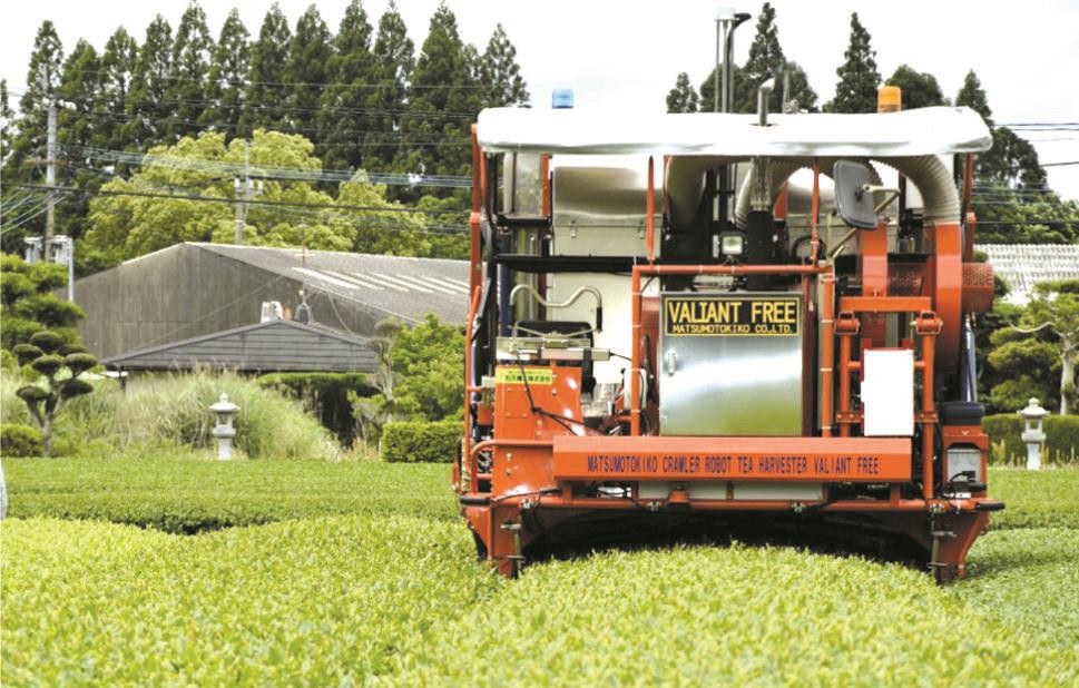 （圖源：互聯網）