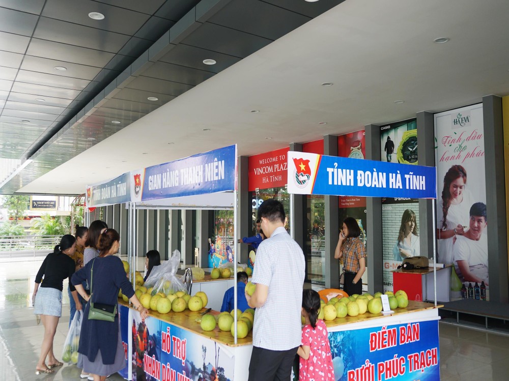 共青團員助農民銷售柚子