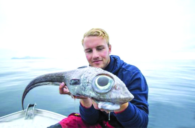 這條魚長著燈泡狀的大眼睛，形狀宛如外星生物，嚇了倫達爾一跳。