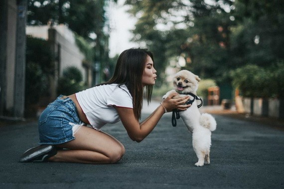 （示意圖源：互聯網） 