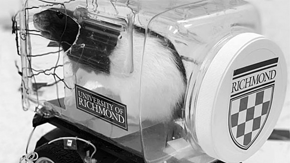 （圖源：互聯網）