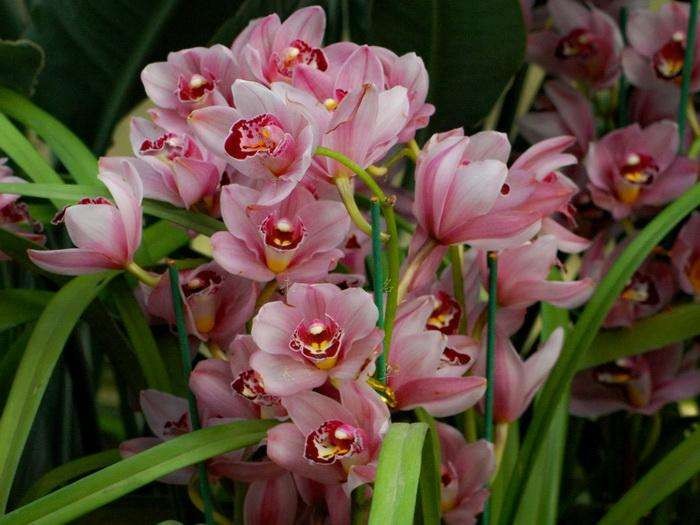 （示意圖源：互聯網）