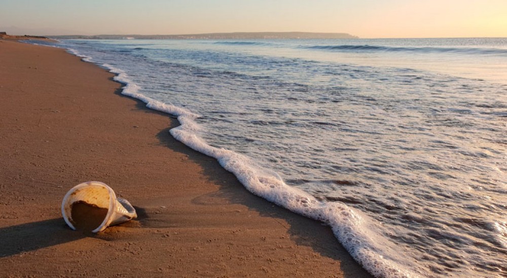 （圖源：互聯網）