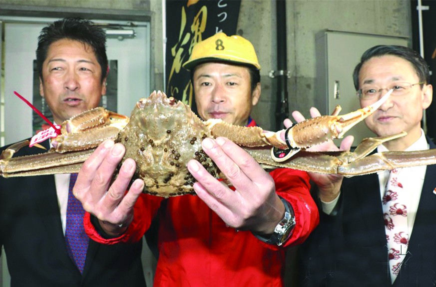 （圖源：互聯網） 