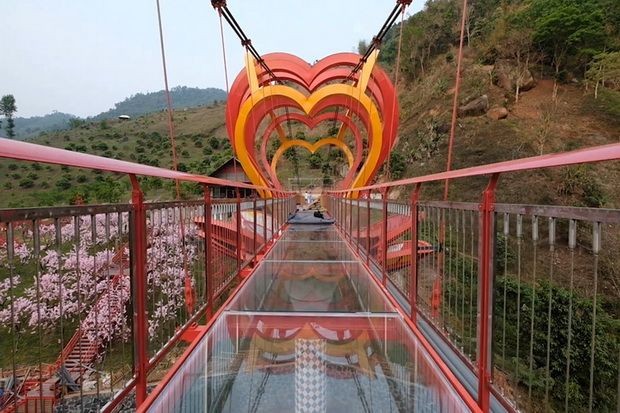 越南最高玻璃橋投入運營 ảnh 1