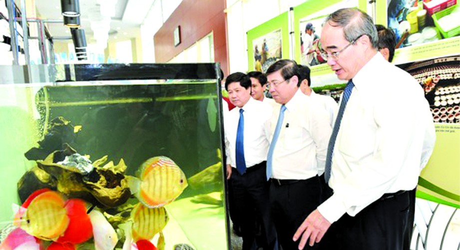 市領導在觀看本市農業成果展示。