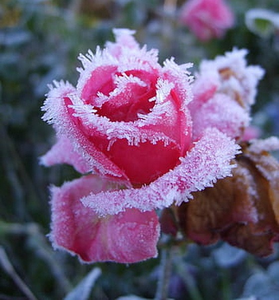 （示意圖源：互聯網） 