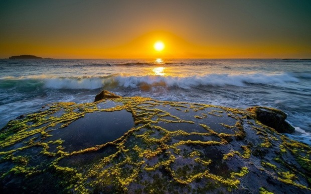 （圖源：互聯網）