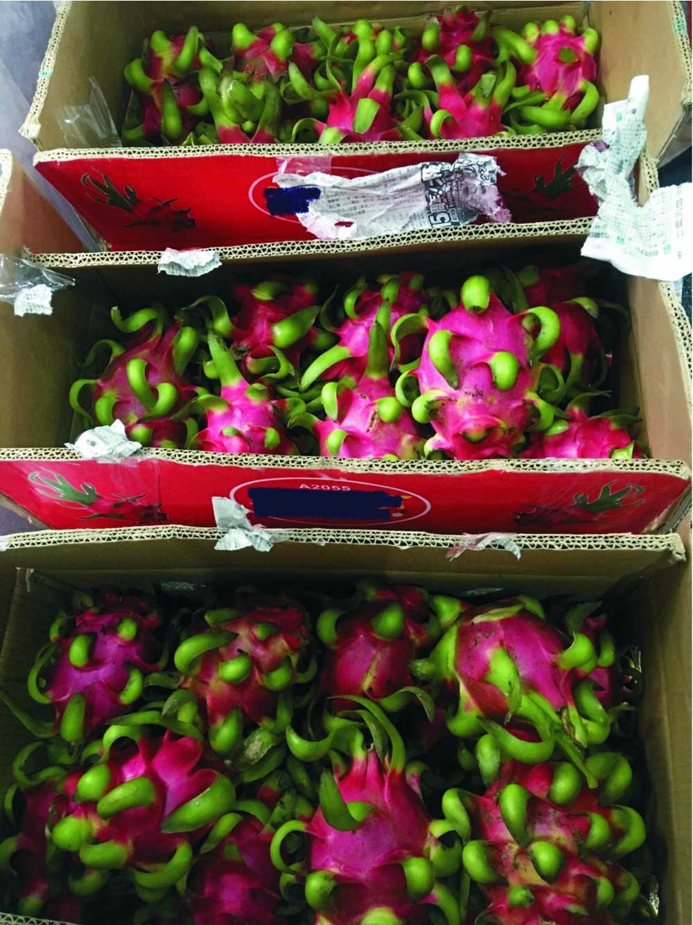 （圖源：互聯網） 