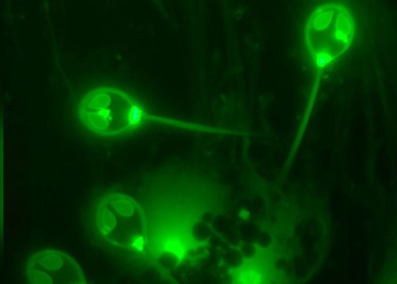 （圖源：互聯網） 