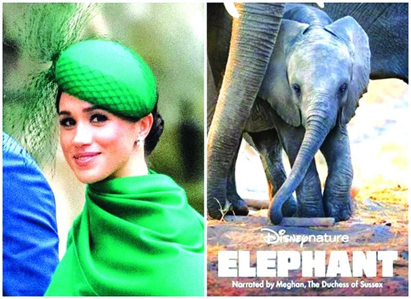 梅根（左圖）為《大象》旁述。