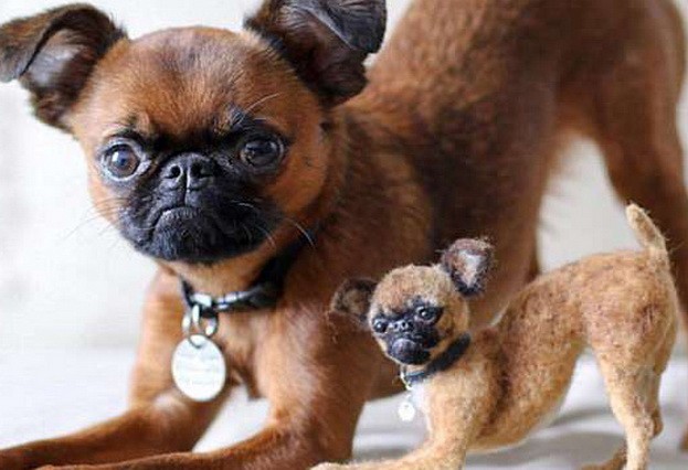 女子用羊毛仿製微縮版寵物狗