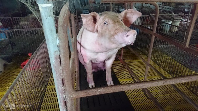 （示意圖源：互聯網） 