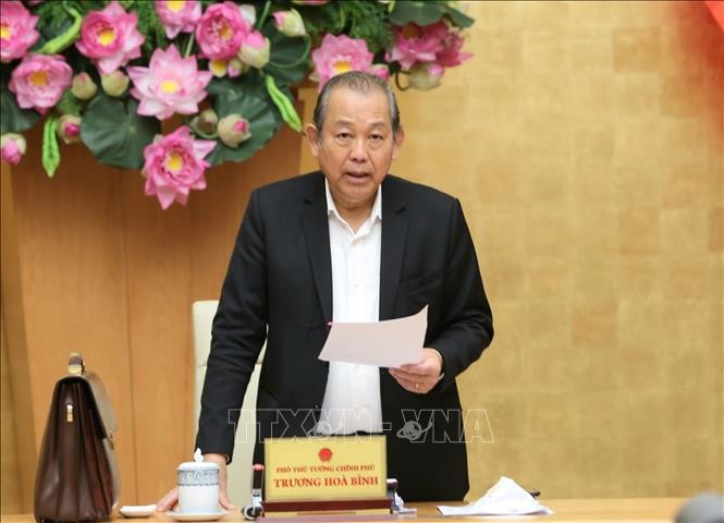 黨中央政治局委員、政府常務副總理張和平。(圖源:TTXVN)